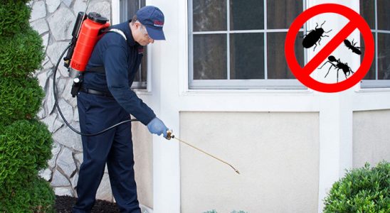 Çatak Gümüşkurt İlaçlama böcek ilaçlama ve haşere kontrolü — ilaclama-tr.com